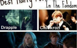 Harry Potter ships