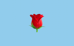 The Bachelorette