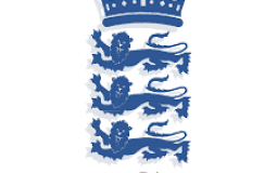 English cricket rizz