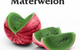 Sent Steam Games Tier List (Robert) [Season 3-4]