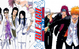 bleach