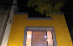 Tasa de Supervivencia