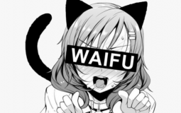 Anime Waifu Tier List