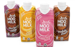 Chicolate milks