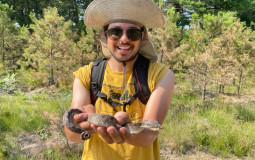 Snakes I have Herped Up to 2022