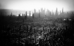 Easy Demon List (Deco)