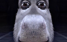 Youtubeur(euses) fantanouner