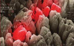 Pitkä Matematiikka kirjat (1-13)