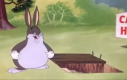 STM Monster Tier list