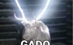 Tier dos membros do enjoy plus