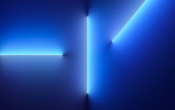 STAR BLA STRONGEST CHARACTERS