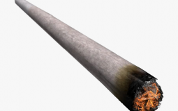 Most Fuckable Stoners