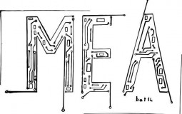 Prof MEA