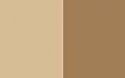 skin tones