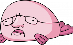 Les meilleurs viewers de Gydias