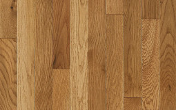 please ignore this ches uwu