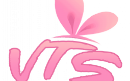 VTS