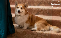 which character are u