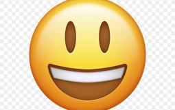 xd