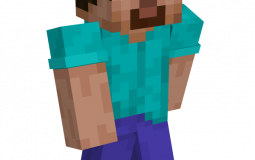 ranking minecraft skins