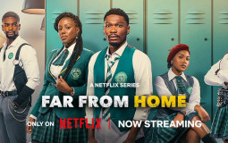 Movies & Shows I watched this year