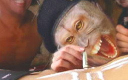 Eli SV song tier list