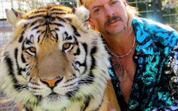 Tiger King-tiers