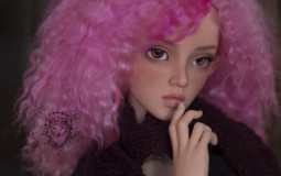 My BJD Collection
