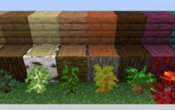 Minecraft Wood Types
