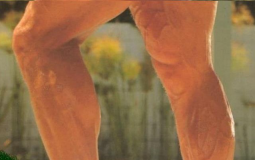 Andrews horrible no good very bad pizza list