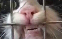AHHHHHHHHHHHHHHHHHHHHHHHHHHHHHHHHHHHHHHHH