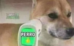 everything tier list