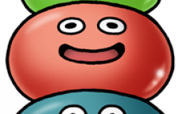 Dragon Quest IX classes