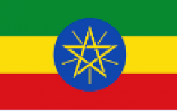 Ethiopian Food and Drink Tier list