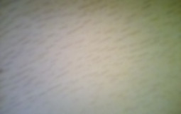 Nduowfoejfoueoirzghtizjtel!lkc