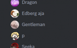beldu wr gang