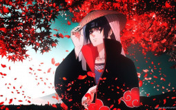 Anime Katman Listesi