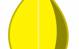 battle for dream island lol