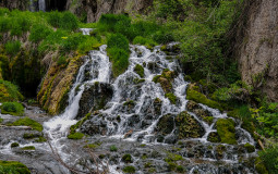 tally coffee shops (incomplete)