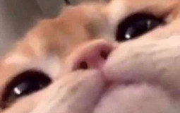 journalism tier list