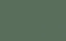 maggotslvt nation tierlist