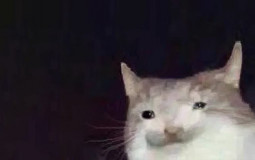 123