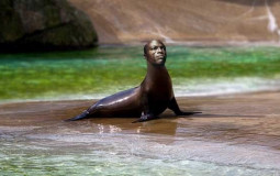 delta rune characters