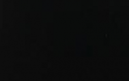 ELITE