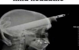 summertime top 25 fictional characters