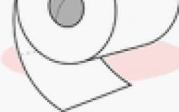 tier list of everything