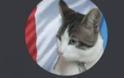 Mínimas del CP en AP