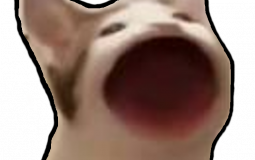 fart