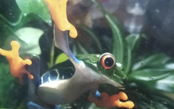 every admin/mod on trtion rp