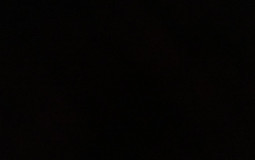 ✨Shiny Legendary Pokemon✨